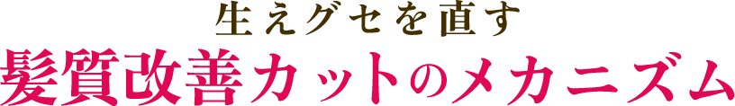 髪質改善カットのメカニズム