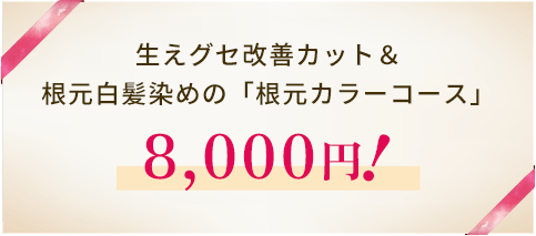 白髪染めトライアルコース6,600円