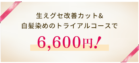 cam_bn01 白髪染めトライアルコース6,600円