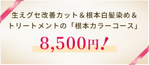 白髪染めトライアルコース6,600円