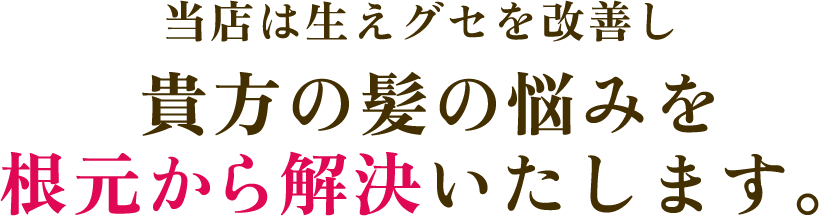 髪の悩みを根元から解決いたします