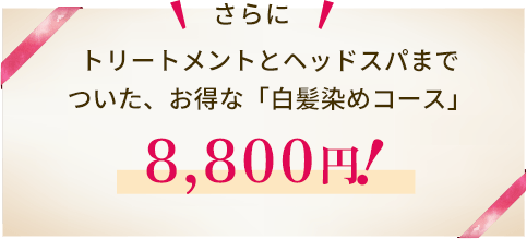 トリートメント・ヘッドスパがついたライトコース7,700円